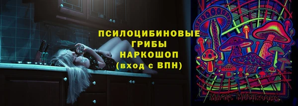 твердый Алексин