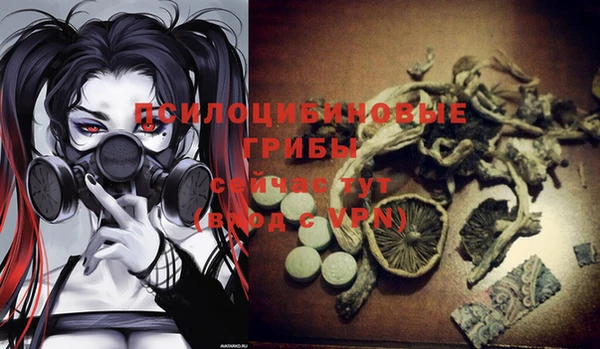 твердый Алексин