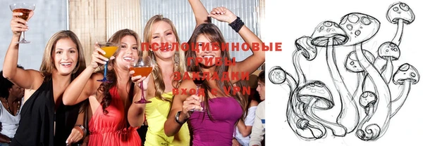 прущий лед Алзамай