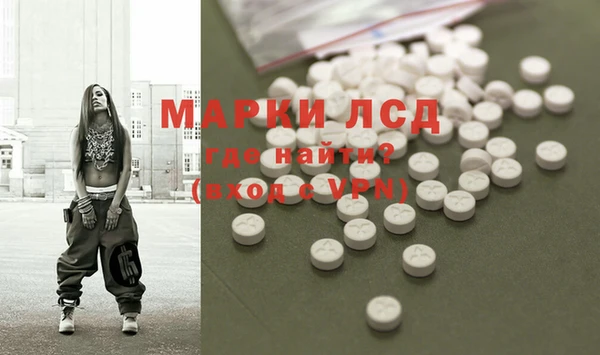 прущий лед Алзамай