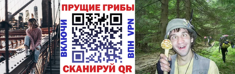 Псилоцибиновые грибы Magic Shrooms  hydra ссылка  Лермонтов  где можно купить  