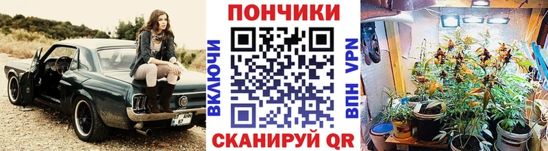 KRAKEN tor  Лермонтов  Конопля тримм 